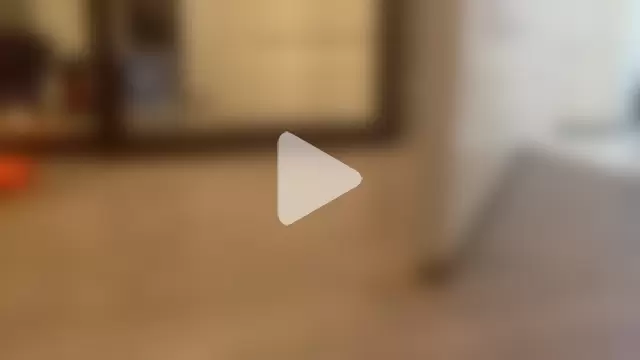 bigdickbigass69 photo 4