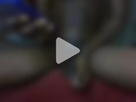 biggest_black_cock photo 12