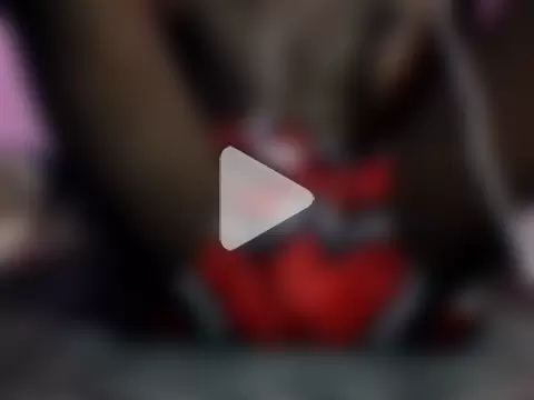 black-bbc0 photo 21