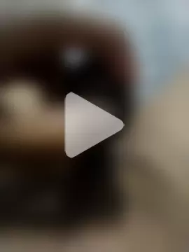 black_panth99 photo 13