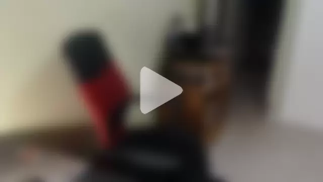 blueandwhite1 photo 2