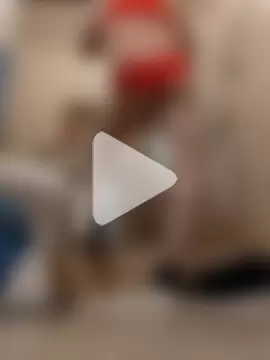 bobby69cock photo 9