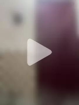 bossbabylive2020 photo 9