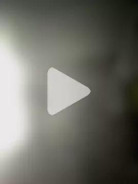 brasilien18cm photo 1