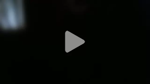 bravo23toro photo 2