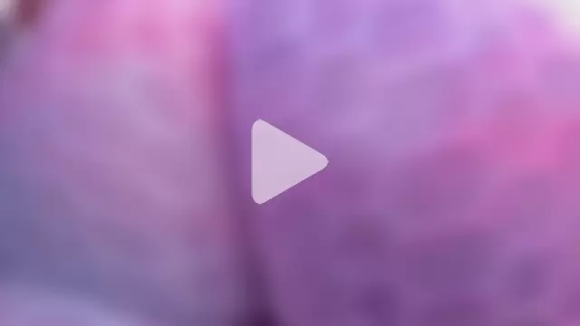 brigittemiller photo 19