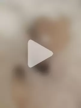 brownskinbull1 photo 17