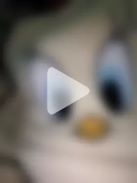 bruna_safadinhaa photo 11