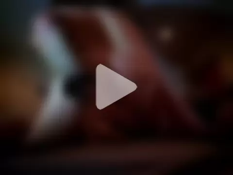 budweiser666 photo 5