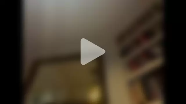 bulldog2069 photo 11