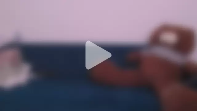 bunny_b4nny photo 24