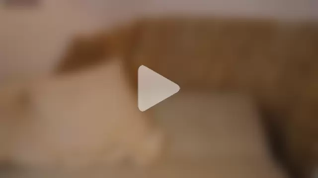 bunnycuteshy photo 15