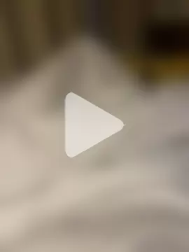 byakkotorra photo 12