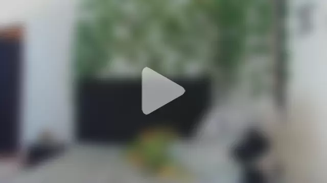 caribbeanlover1 photo 2