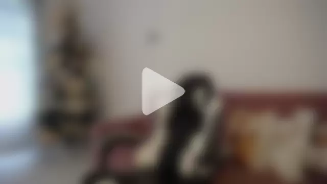 catalinapalencia photo 1