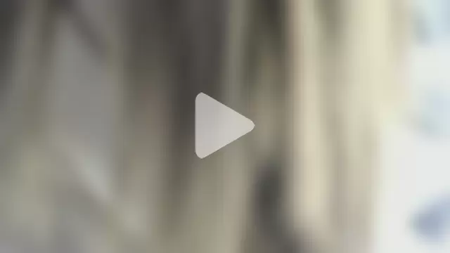 celestica_rose photo 15