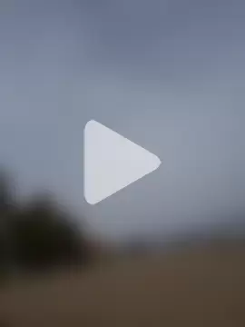 charlye_inkkkk photo 4