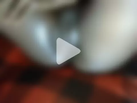 chewy-pudding photo 23