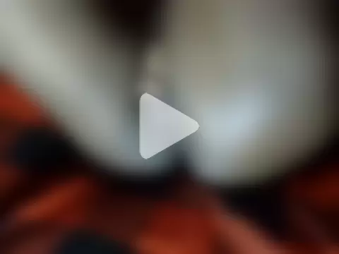 chewy-pudding photo 18