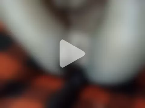 chewy-pudding photo 13