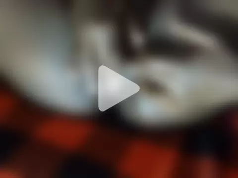 chewy-pudding photo 11