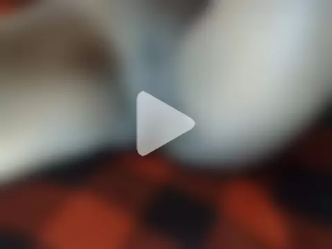 chewy-pudding photo 9