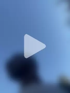 chocolatemeatstick25 photo 5