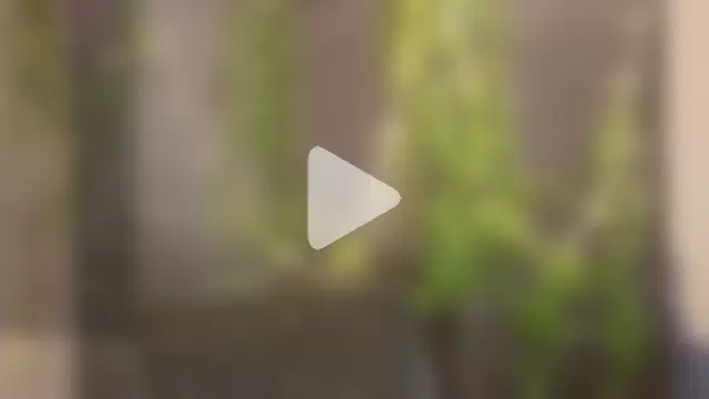 christy_memeow photo 10