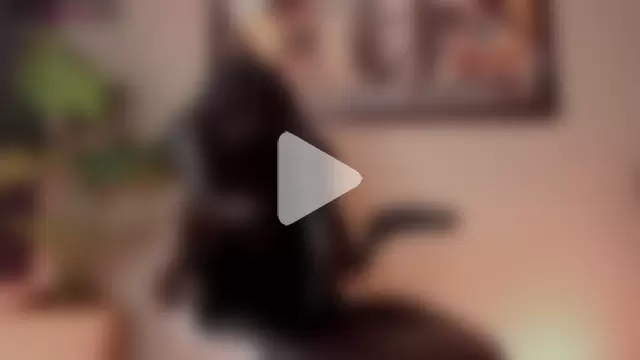 chrizmacgregor photo 4