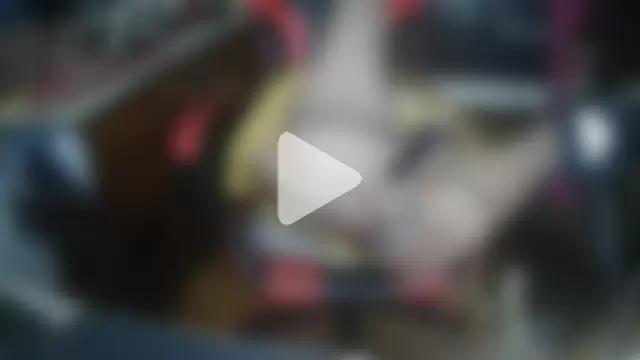 cinquantaxxx photo 22