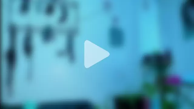 clydexxxbunny photo 5