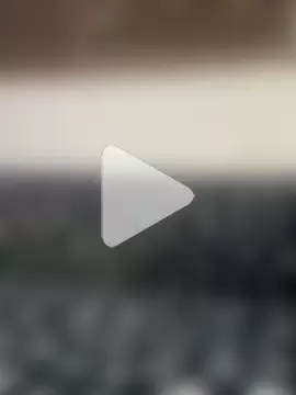 cody_fox10 photo 16