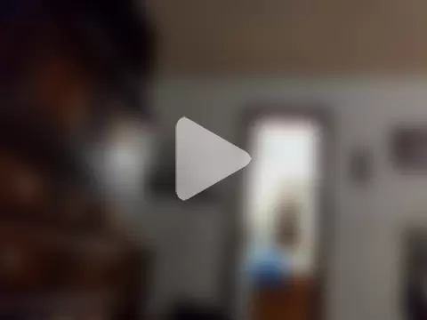 coolbrease10 photo 21