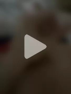 crazyboy848 photo 12