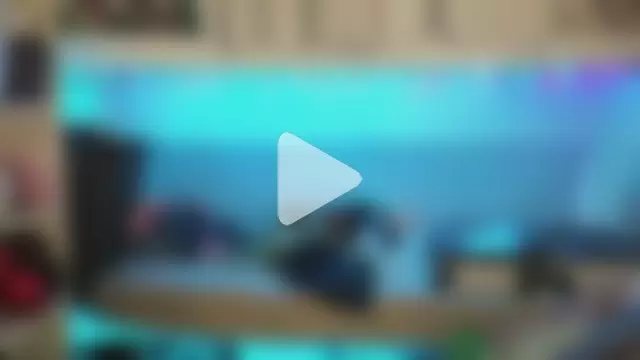 cunty_tranny_lydia photo 2