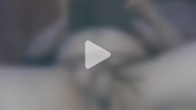 daddylove2024 photo 9