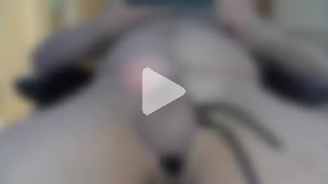 daddylove2024 photo 4