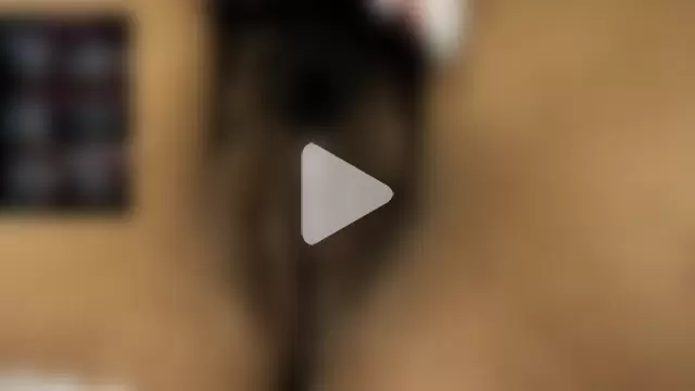 dalila2arab photo 14