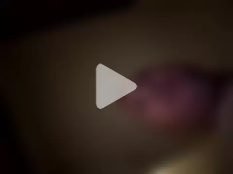 danicohoney photo 16