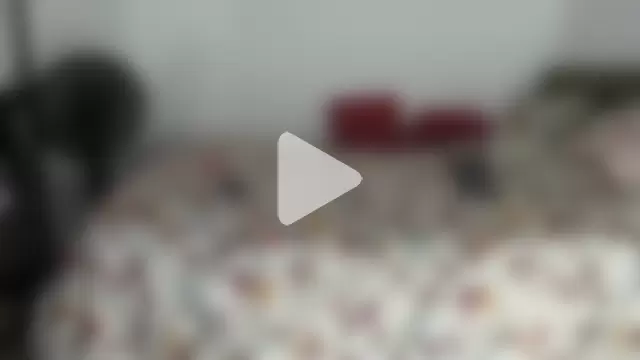 daniela_starks photo 5