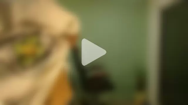 danielitopapuu photo 18