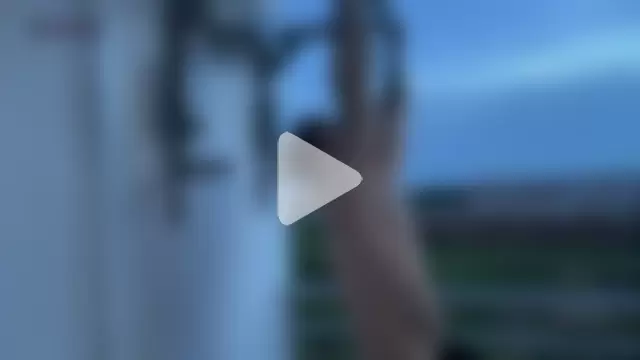 dantecoppolaa_ photo 12