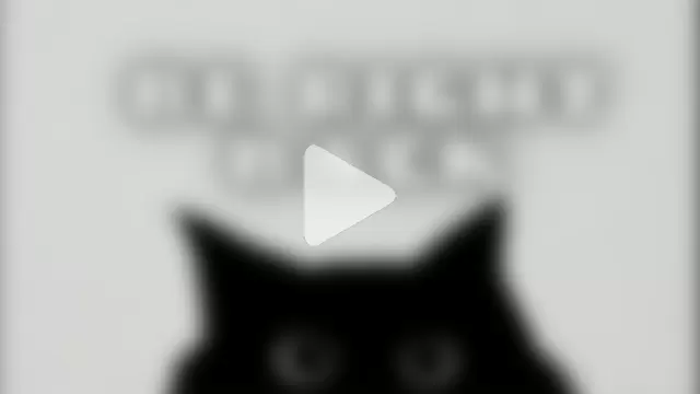 darienlarge photo 14