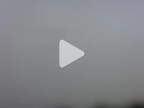 dark_sugar404 photo 5