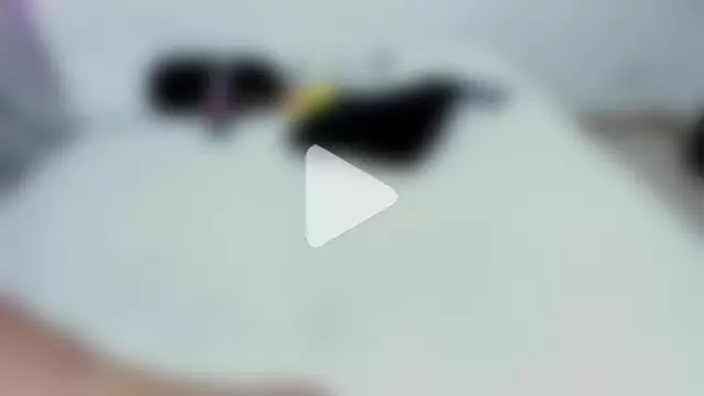 denny_scobar photo 14