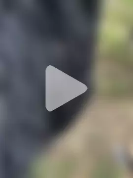 desiredude9 photo 12