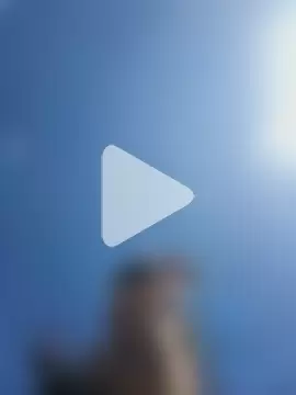 dickforpussyy photo 14