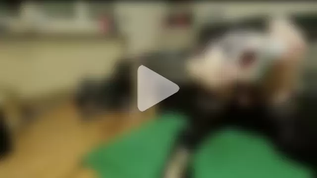 dirty_anal_lisa photo 3