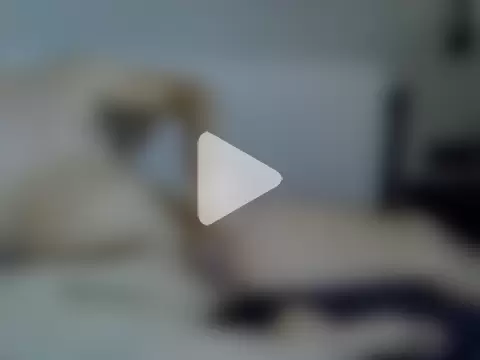 disclosures@xh photo 1