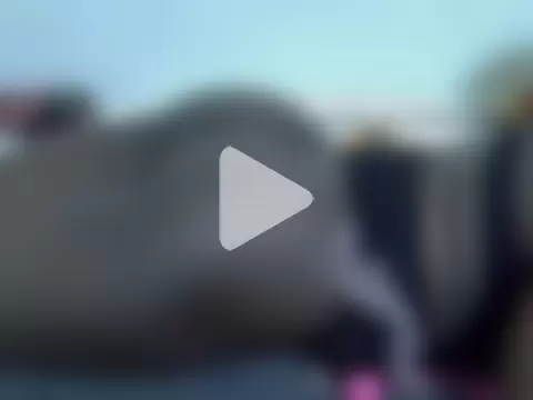 doctor_deee photo 14